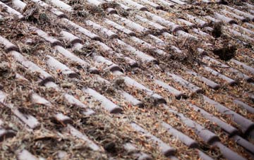 Coylumbridge roof cleaning companies