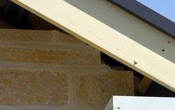 soffit repair Coylumbridge