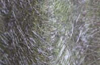 Coylumbridge fibreglass roof work